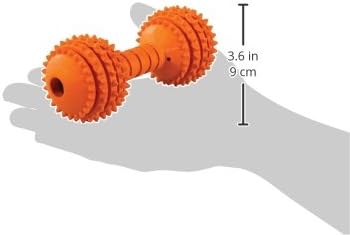 JW Pet Chompion Heavyweight Dog Chew Toy for Small Breeds, Assorted Colors