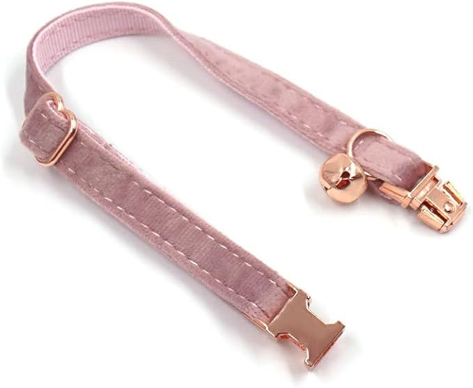 Personalized Cat Collar with Bells,Velvet Customized Small Cat Collar with Name Tag,Pet Collar with Name Phone Number Engraved ID Tags for Boy and Girl Kitten Cats (Champagne Powder)