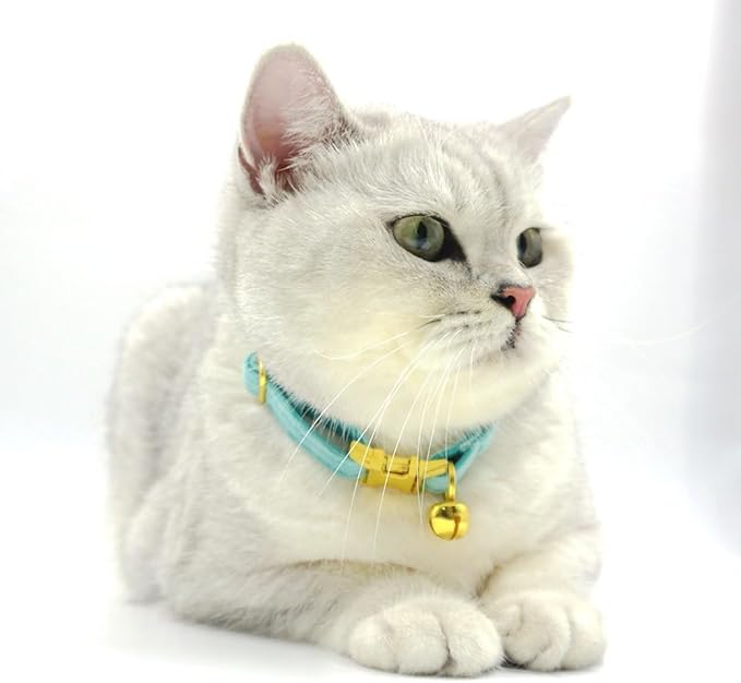Personalized Cat Collar with Name Tag & Bells,Optional Bow-tie,Colorful Cute Cat Collars for Boys Cats, Soft Durable Custom Kitten Collars for Small Large Cats (Light Green)