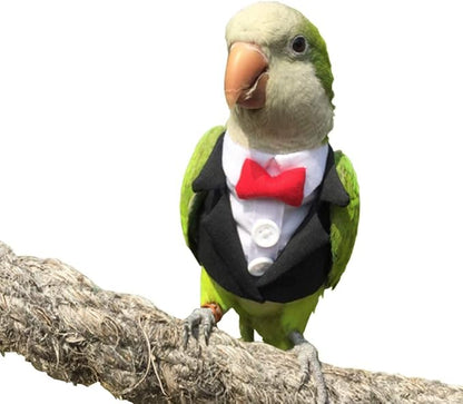 Bird Clothes Birds Flight Suit,Tuxedo Business Suit for Parrots African Greys Parakeet Cockatiel Sun Conure Christmas Party Birthday Cosplay Photo Prop Small Animals Apparel (2XL,Black Suit)