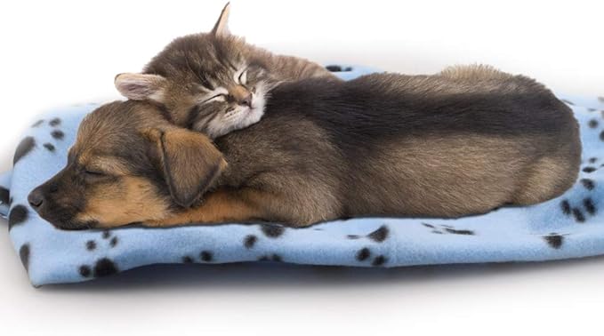 Comsmart Dog Blankets for Small Dogs, 6 Pack Puppy Blanket Cute Paw Print Pet Blanket for Dog, Puppy, Cat, Kitten, 24x28 inches, Blue