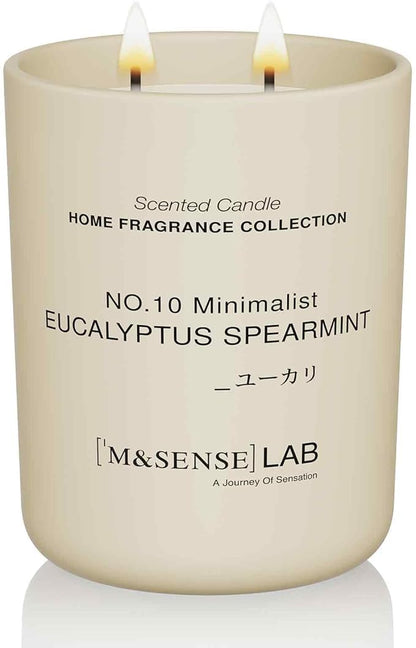 M&SENSE Natural Soy Candle| Eucalyptus Spearmint | 16.6 oz, 95H Burn | Minimalist Christmas Scented Candle for Relaxation, Gifting, Home Décor | for Bedroom, Office, Party Large
