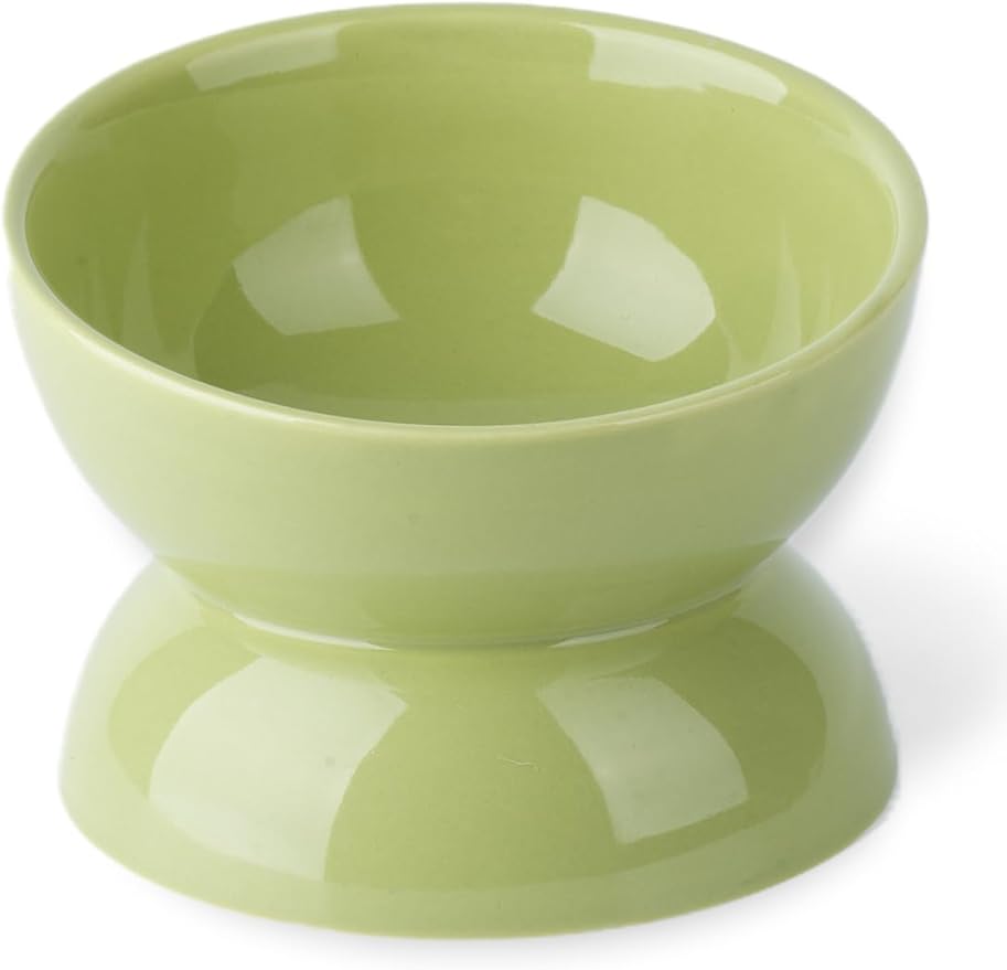 Cat Water Bowl, 16 OZ Ceramic Elevated Cat Bowls, 15° Tilted and Raised Pet Food Dish, Anti Vomiting Protect Pets' Spines and Whisker Fatigue