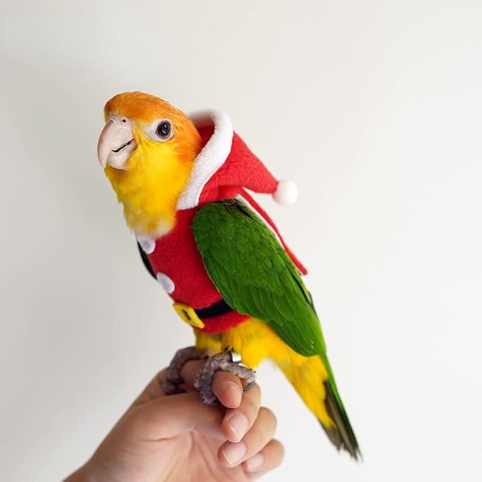 Bird Clothes Birds Flight Suit, Christmas Hoodie for Parrots Cockatiel Sun Conure Christmas Party Cosplay Photo Prop Bird Shirt Small Animals Apparel (with Diaper,Sun Conure)