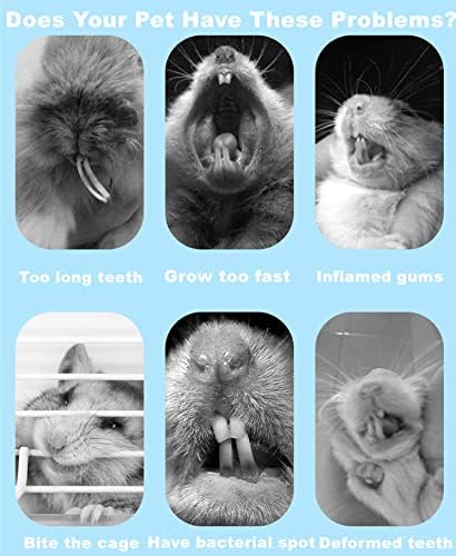 150g 3 Types of Combined Chew Toys Molar Sticks Sweet Bamboo Apple Branch Timothy Grass for Pets Chinchilla Squirrel Gerbil Hamster Squirrel Guinea Pigs