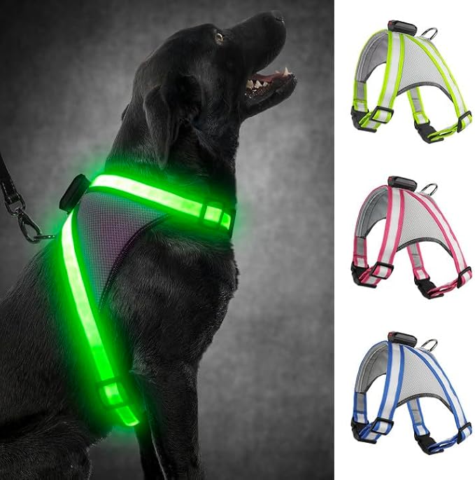 Visinite LED Dog Harness, USB Rechargeable Light Up Dog Vest, 2 Illuminate Modes Glow in The Dark Dog Harness, Adjustable Lighted Pet Harness Light for Night Walking Safety (Green, M)