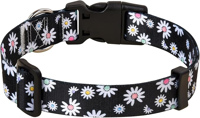 MarukoPet Dog Collar, Adjustable for Small Medium Large Dogs Puppy, Cute Design with Bohemia Floral Tribal Geometric Patterns Boys Girls Dog Collar(Black Daisy-M)