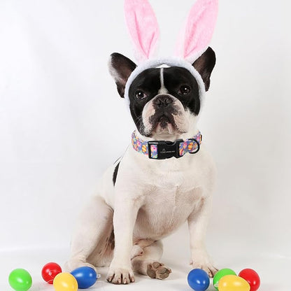 ARING PET Easter Dog Collar, Cute Purple Eggs Pet Collars with Quick Release Buckle for Puppy Small Medium Large Boy Girl Dogs-XS
