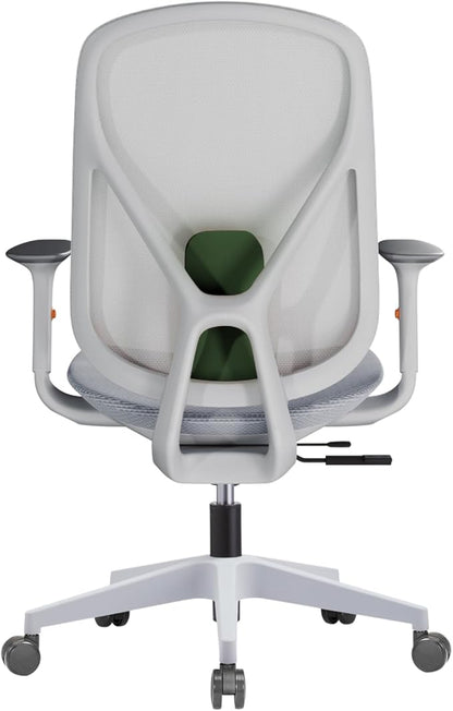 Mesh Office Chair – Ergonomic Office Chair with Lumbar Support, Adjustable Armrests & Sliding Soft Seat Cushion – Holds Up to 270lbs (Grey)