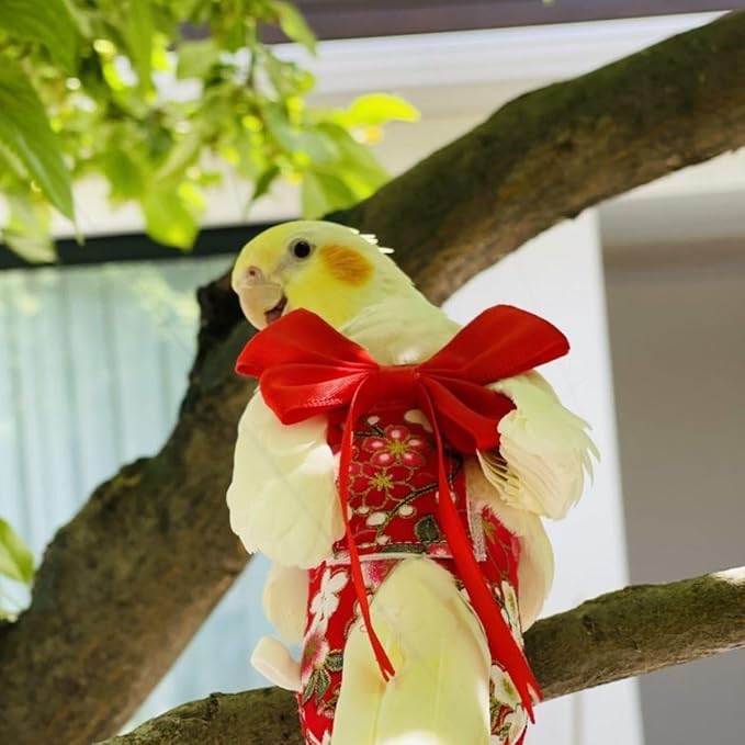 Bird Diaper Parrot Washable Diapers, Parrot Flight Suit, Reusable Nappies for Parakeet Cockatiel Mini Macaw Budgie Conure Lovebird (Purple,XL)