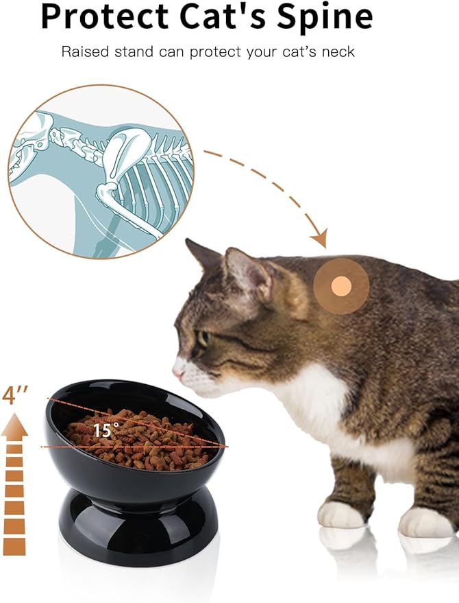 Cat Water Bowl, 16 OZ Ceramic Elevated Cat Bowls, 15° Tilted and Raised Pet Food Dish, Anti Vomiting Protect Pets' Spines and Whisker Fatigue