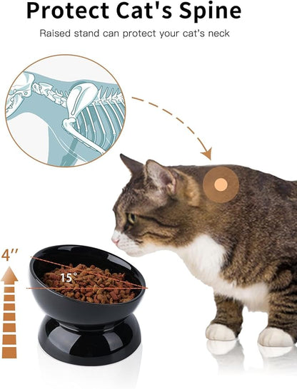 Cat Water Bowl, 16 OZ Ceramic Elevated Cat Bowls, 15° Tilted and Raised Pet Food Dish, Anti Vomiting Protect Pets' Spines and Whisker Fatigue