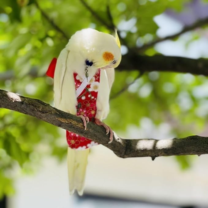 Bird Diaper Parrot Washable Diapers, Parrot Flight Suit, Reusable Nappies for Parakeet Cockatiel Mini Macaw Budgie Conure Lovebird (Purple,L)