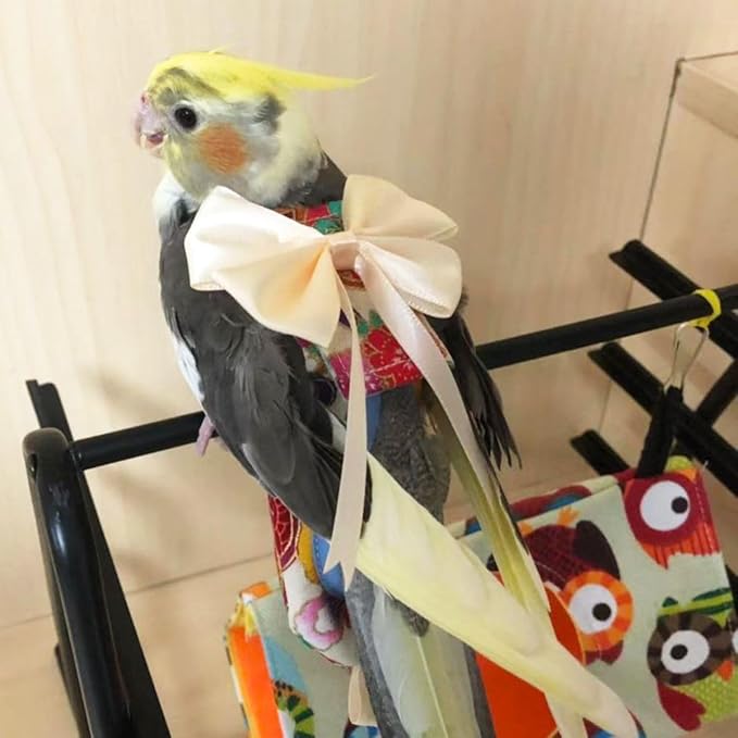 Bird Flight Suits Diapers, Parrot Flight Suits Diapers for Quaker Parakeets Cockatiels Flight Suits, Parrot Clothes (Almond A,2M)