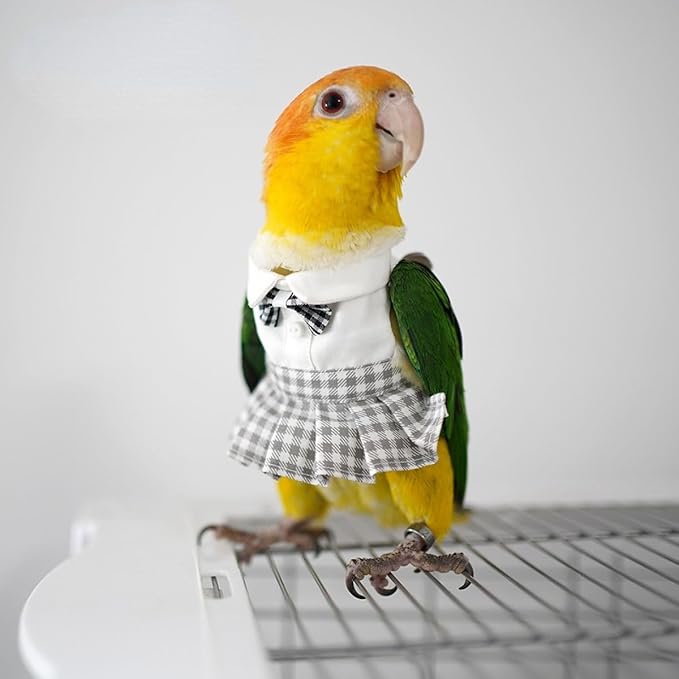 Bird Costume Bird Diaper Flight Suit Cute JK Dress Dress Skirt Clothes Cosplay Photo Prop for Parrots Macaw Cockatoo (with Diaper,L)