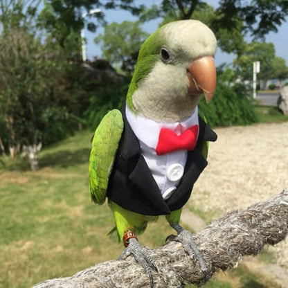 Bird Clothes Birds Flight Suit,Tuxedo Business Suit for Parrots African Greys Parakeet Cockatiel Sun Conure Christmas Party Birthday Cosplay Photo Prop Small Animals Apparel (XS,Black Suit)
