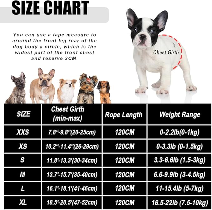 FEimaX Dog Harness and Leash Set for Walking, Soft Mesh Adjustable Easy Control Lightweight Cat Vest Harnesses with Reflective Strips, Escape Proof Small Dogs Cats Vests (Red, Medium)