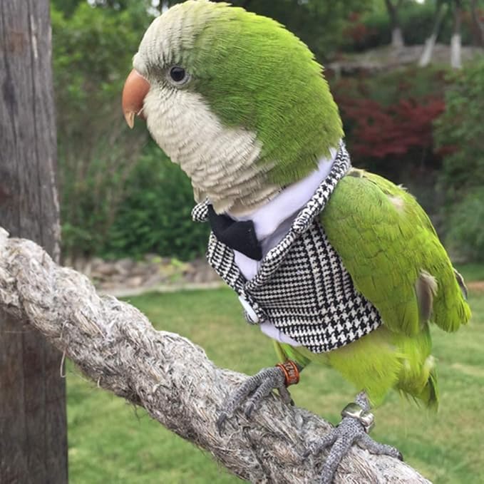 Bird Clothes Birds Flight Suit,Tuxedo Business Suit for Parrots African Greys Parakeet Cockatiel Sun Conure Christmas Party Birthday Cosplay Photo Prop Small Animals Apparel (M,Grid Suit)