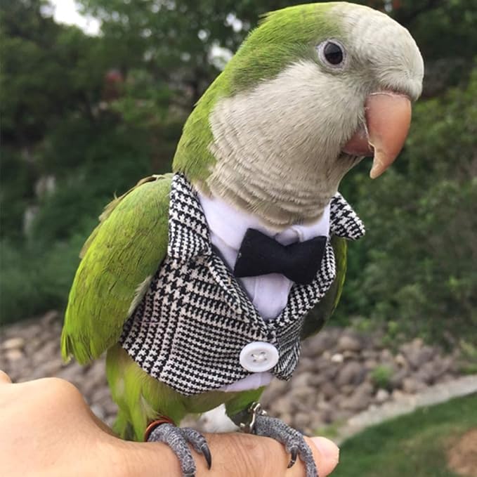 Bird Clothes Birds Flight Suit,Tuxedo Business Suit for Parrots African Greys Parakeet Cockatiel Sun Conure Christmas Party Birthday Cosplay Photo Prop Small Animals Apparel (M,Grid Suit)