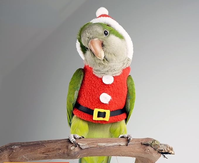 Bird Clothes Birds Flight Suit, Christmas Hoodie for Parrots Cockatiel Sun Conure Christmas Party Cosplay Photo Prop Bird Small Animals Apparel (Without Diaper,Green-cheeked Conure) Red