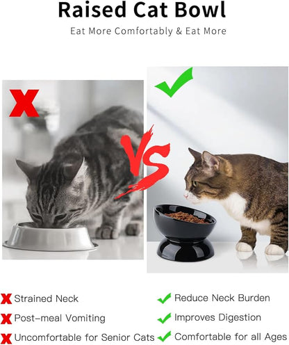 Cat Water Bowl, 16 OZ Ceramic Elevated Cat Bowls, 15° Tilted and Raised Pet Food Dish, Anti Vomiting Protect Pets' Spines and Whisker Fatigue