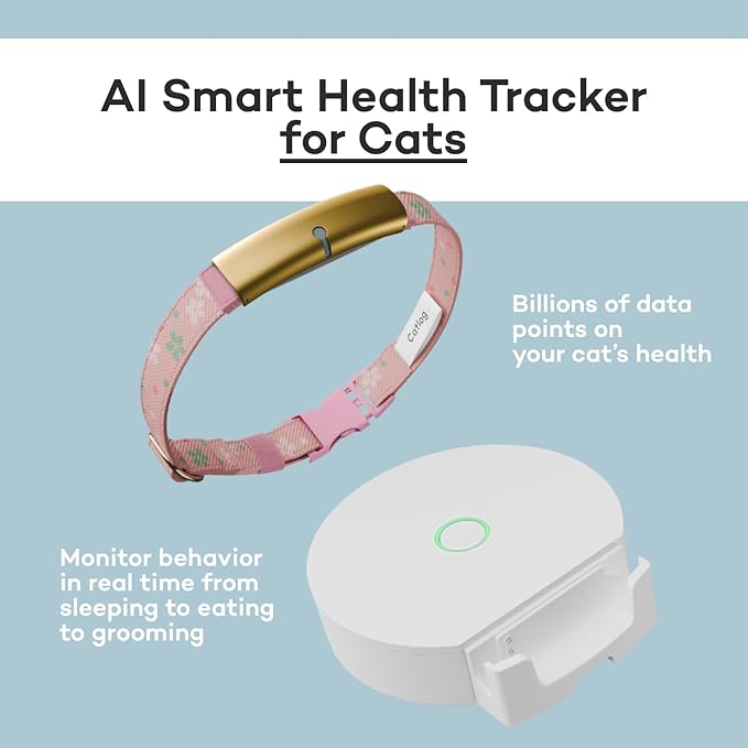 Health Tracker for Cats - Smart Cat Collar with Safety Breakaway Buckle for Indoor Cats, Wellness Alerts, Real-time Monitoring (Charcoal, XS)