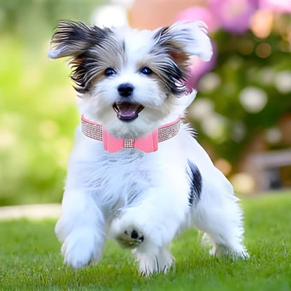 Serijoars Small Dog Collar with Rhinestone Crystal Diamond Colorful Bling Girl Puppy Cat Collars (XS, Pink1)