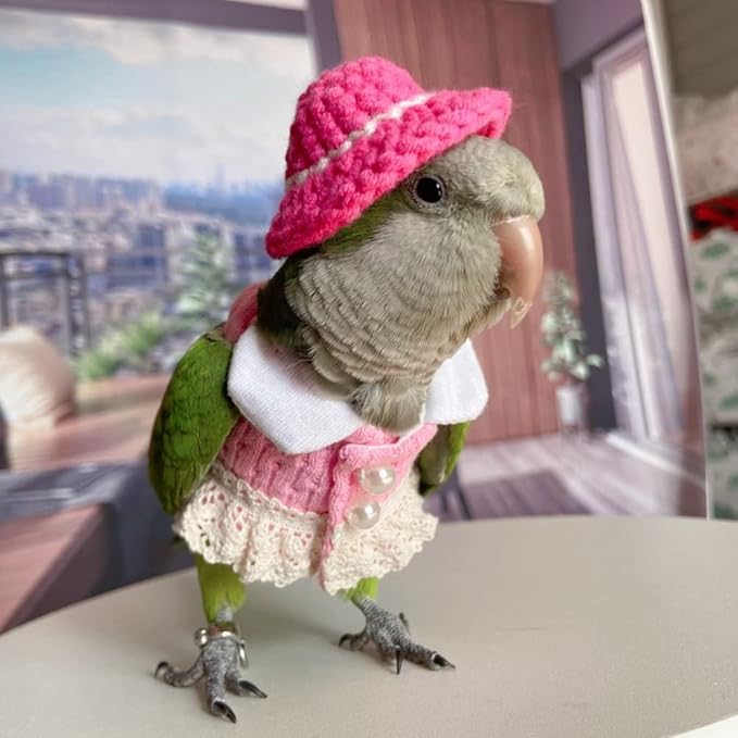 Hahn's Macaw Bird Diaper Flight Suit - Pink Top Cosplay Photo Prop for Parrots, Lovebirds, Parakeets, Cockatiels & Small Animals