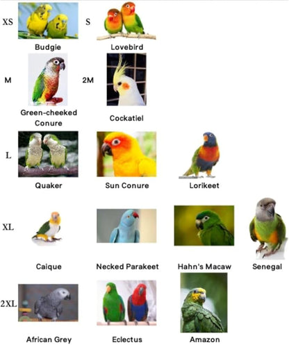 Bird Flight Suits Diapers, Parrot Flight Suits Diapers for Quaker Parakeets Cockatiels Flight Suits, Parrot Clothes (Almond A,M)