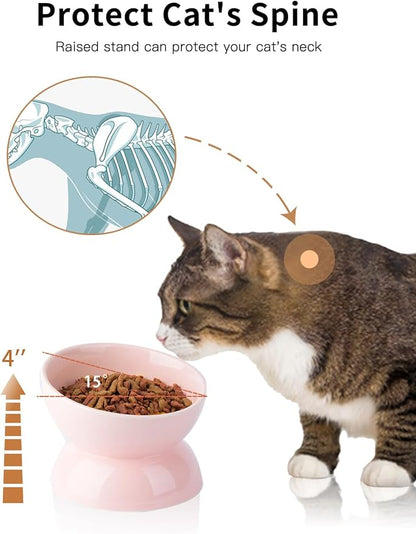 Cat Water Bowl, 16 OZ Ceramic Elevated Cat Bowls, 15° Tilted and Raised Pet Food Dish, Anti Vomiting Protect Pets' Spines and Whisker Fatigue