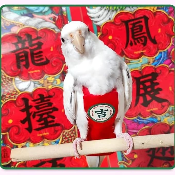 MANON ROSA Bird Diapers Leash Set Washable Reusable Handmade Flight Suit Waterproof Inner Layer - Protective Parrot Nappy Clothes Parakeets Macaws Budgies Canaries (Orange2,Caique)