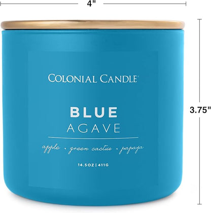 Colonial Candle Blue Agave Scented Jar Candle, Pop of Color Collection, 3 Wick, 14.5 oz - Up to 60 Hours Burn