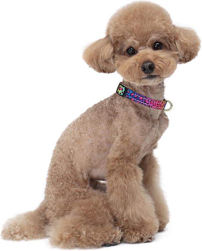 Reflective Dog Collar for Small Dogs Cats, Cute Leopard Style Adjustable Heavy-Duty Nylon Puppy Collar for Boy and Girl Female, Soft Pet Accessories with Quick Release Buckle, Neon