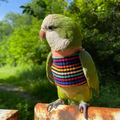 Bird Clothes - Handmade Cotton Stripe Shirt Round Collar Sweater Flight Suit for Parrots African Greys Parakeet Cockatiel Sun Conure Christmas Halloween (Without Diaper,2M)