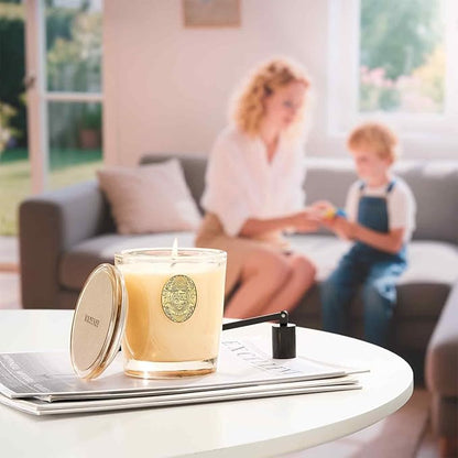 M&SENSE Natural Soy Candle | Banana Leaf & Gold | 9.2 oz, 50H Burn Time | Luxury Scented Candle for Relaxation, Gifting, Home Décor | Ideal for Bedroom, Office, Party Ambiance