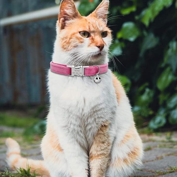 Personalized Cat Collar with Name Plate,Adjustable Tough Nylon Cat ID Collars with Bell,Customize Engraved Pet Name and Phone Number (Velvet Style E)