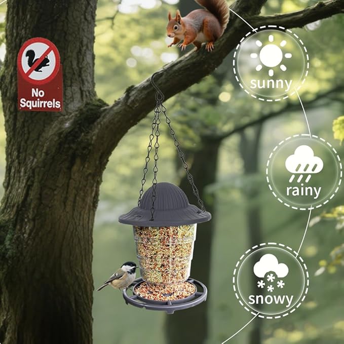 Small Bird Feeder - Durable Plastic Design, Easy Fill & Clean, Attracts Finches & Songbirds, Great for Outdoor Use in Yards, Porches and Decks