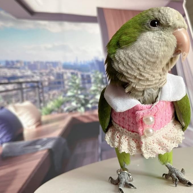Alexandrine Bird Diaper Flight Suit - Pink Top Cosplay Photo Prop for Parrots, Lovebirds, Parakeets & Cockatiels