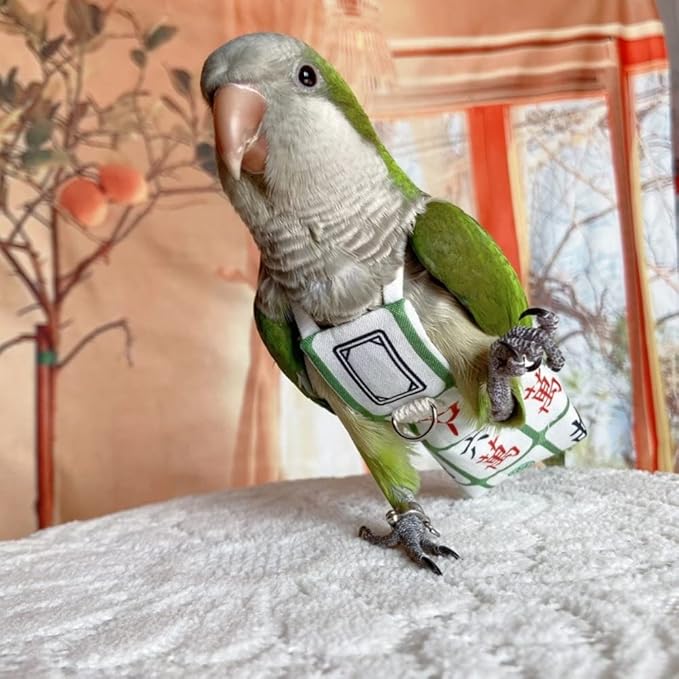 Bird Diaper Harness Flight Suit Clothes, Parrot Flight Suit with Leash for Parrot, Bird Flying Clothes with Rope and Handle for Outdoor Activities Training (with Leash,Senegal)