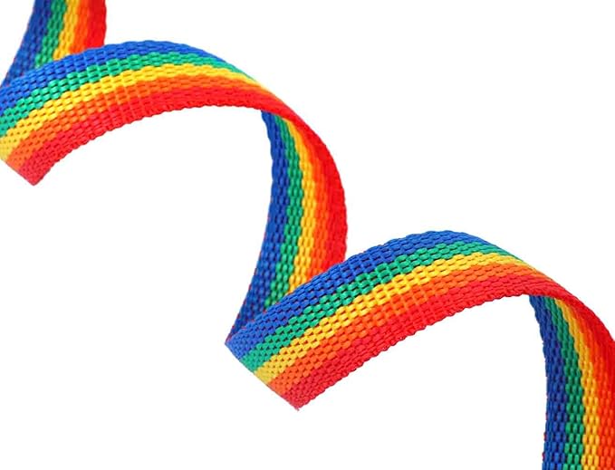 AMAGOOD 6 FT Puppy/ Dog Leash, Strong and Durable Traditional Style Leash with Easy to Use Collar Hook, Great for Small and Medium Dogs (3/4 in x 6 ft(Pack of 1), Rainbow)