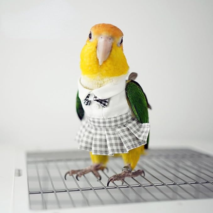 Bird Costume Bird Diaper Flight Suit Cute JK Dress Dress Skirt Clothes Cosplay Photo Prop for Parrots Macaw Cockatoo (with Diaper,L)
