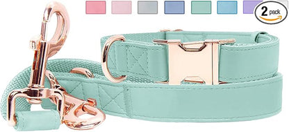 Soft Leather Dog Collar and Leash (6.6') Set - Stylish Rose Gold Heavy Duty Metal Buckle, 4 Adjustable Lengths Leash for Small Medium Large Dogs - Comfortable & Easy to Clean Mint Green S(12.2"-16.9")