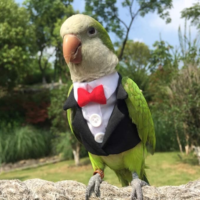 Bird Clothes Birds Flight Suit,Tuxedo Business Suit for Parrots African Greys Parakeet Cockatiel Sun Conure Christmas Party Birthday Cosplay Photo Prop Small Animals Apparel (S,Black Suit)