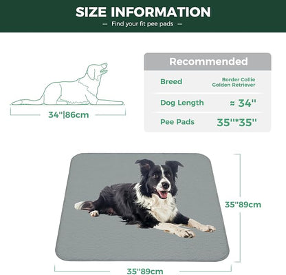 FXW Washable Pee Pads for Dogs, Puppy Pads with Super Absorbent, Specifically Designed for Potty Training, 35" Square, Gray, 2 Packs
