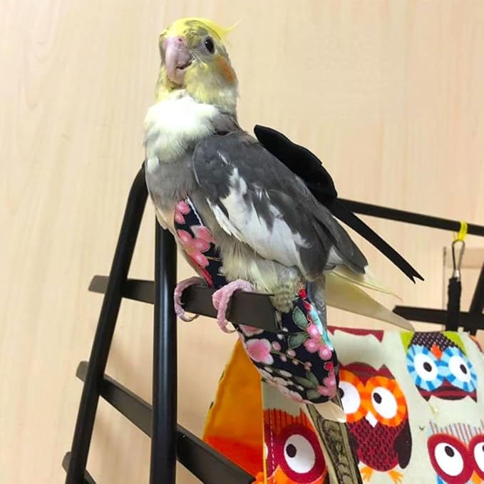 Bird Flight Suits Diapers, Parrot Flight Suits Diapers for Quaker Parakeets Cockatiels Flight Suits, Parrot Clothes (Almond A,M)