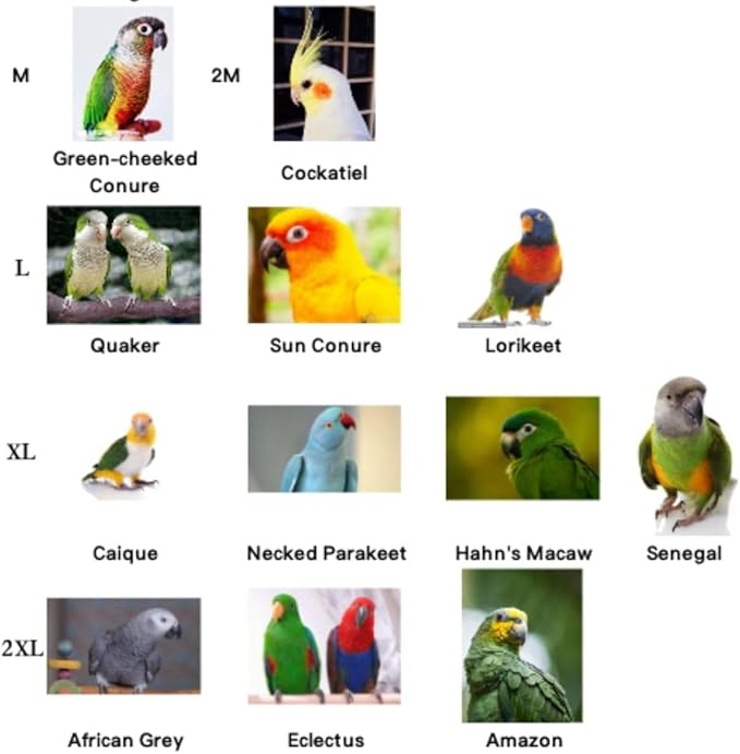 Bird Costume Bird Diaper Flight Suit Cute JK Dress Dress Skirt Clothes Cosplay Photo Prop for Parrots Macaw Cockatoo (with Diaper,2XL)