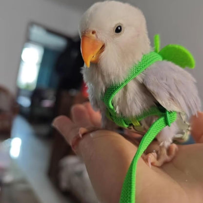 Adjustable Bird Diaper Harness Flight Suit Clothes with 80 Inch Flying Leash Rope for Parrots Conure Cockatiel (Green,XL)