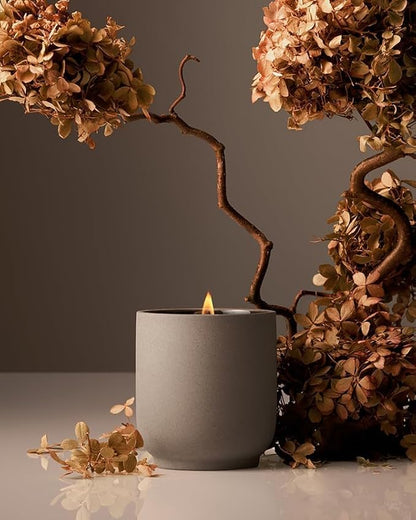 Homecourt Luxury Scented Candle, Cece Scent, 60-Hour Burn Time, Soy Wax Blend, Organic Cotton Wick, Kiln-Fired Reusable Ceramic Vessel, 8 Oz, 2.0