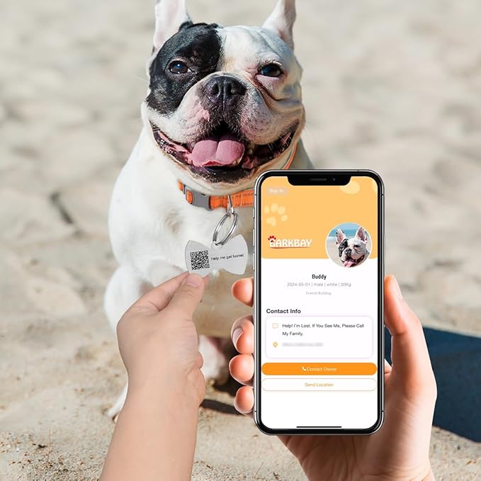 Dog Tags Personalized for Pets,Dog Name Tags QR Code,No Subscription Fees,Modifiable Pet Online Profile,Stainless Steel,No App Required,for Dogs and Cats Small,Medium,Large(Bow Tie,Small)