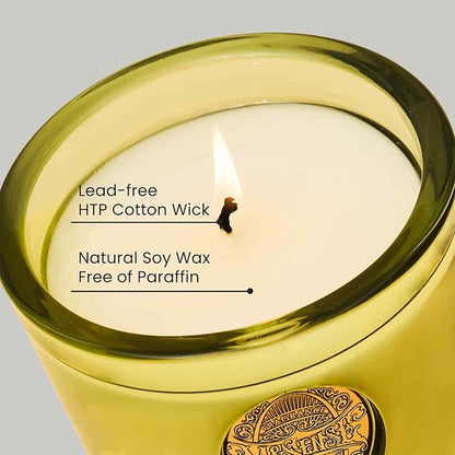 M&SENSE Natural Soy Candle | Seattle Rainforest & Matcha Green | 9.2 oz, 50H Burn Time | Luxury Scented Candle for Relaxation, Gifting, Home Décor | Ideal for Bedroom, Office, Party Ambiance